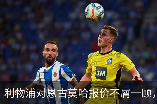 利物浦对恩古莫哈报价不屑一顾，力求续约